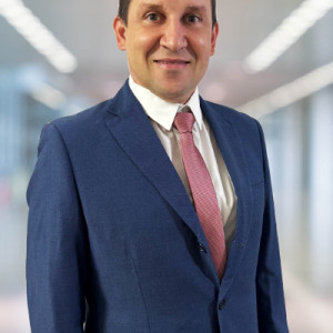 Radu Theodorescu