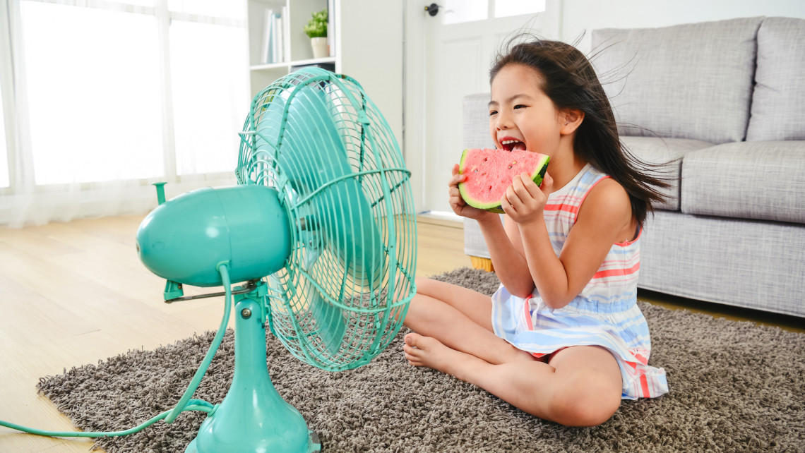 Zile toride de vară. Află 5 trucuri pentru a-ți răcori locuința fără aer condiționat. 