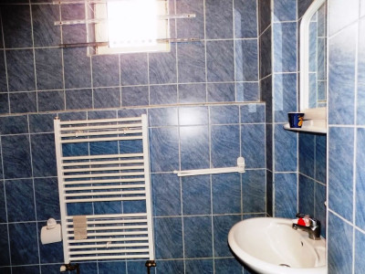Spatii comerciale de vanzare Sibiu Vasile Aaron imagine mica 7