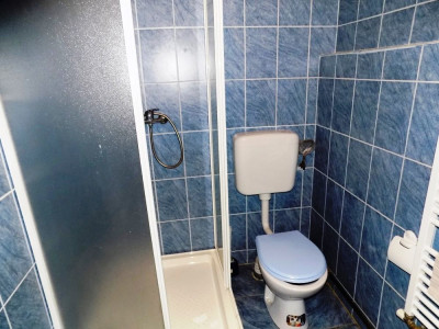 Spatii comerciale de vanzare Sibiu Vasile Aaron imagine mica 8