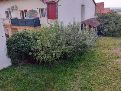 Case de inchiriat Sibiu Tilisca imagine mica 22