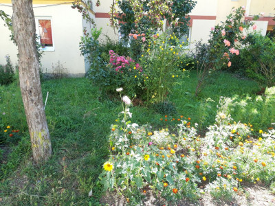 Apartamente de inchiriat Sibiu Mihai Viteazul imagine mica 11