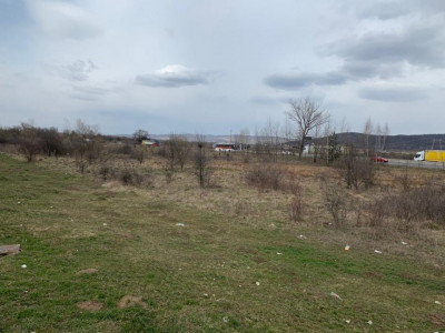 Terenuri de vanzare Sibiu Selimbar imagine mica 4