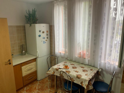 Case de vanzare Sura Mare imagine mica 7