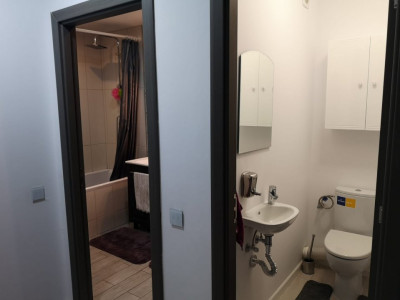 Apartamente de vanzare Sibiu Rahovei imagine mica 28