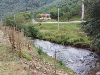 Terenuri de vanzare Rasinari imagine mica 3