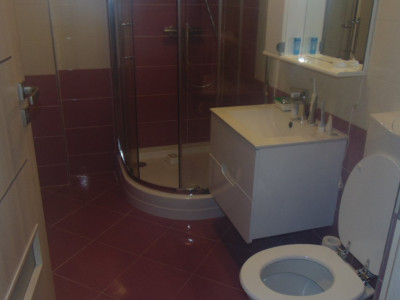 Apartamente de inchiriat Sibiu Sub Arini imagine mica 15