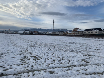 Terenuri de vanzare Sibiu Selimbar imagine mica 4