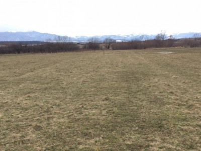 Terenuri de vanzare Sibiu Selimbar imagine mica 3