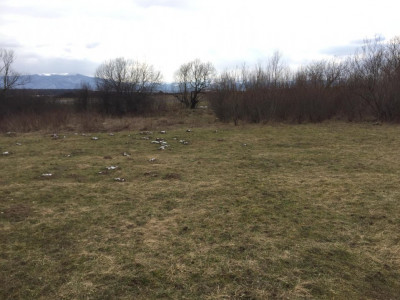 Terenuri de vanzare Sibiu Selimbar imagine mica 4