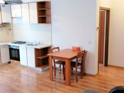 Apartamente de inchiriat Sibiu Turnisor imagine mica 10