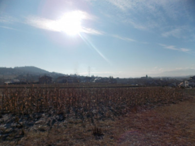 Terenuri de vanzare Sibiu Gusterita imagine mica 3
