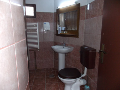 Spatii comerciale de inchiriat Sibiu Orasul de Jos imagine mica 7