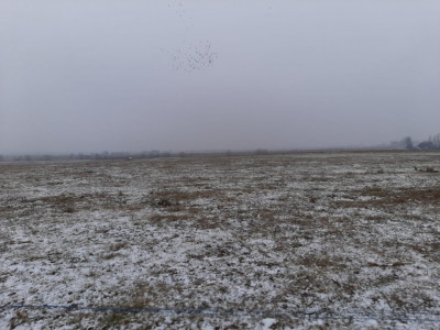 Terenuri de vanzare Sibiu Calea Surii Mici imagine mica 1