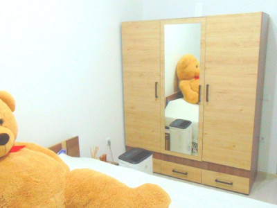 Apartamente de vanzare Sibiu Doamna Stanca imagine mica 7