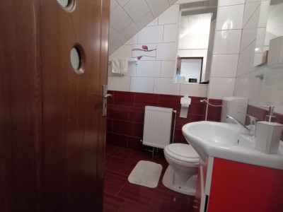 Hoteluri de vanzare Sibiu Calea Cisnadiei - Arhitectilor imagine mica 18
