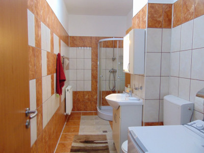 Apartamente de inchiriat Sibiu Siretului imagine mica 6