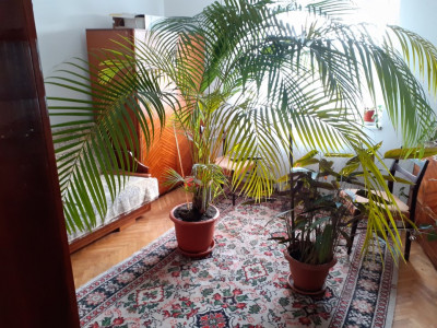 Apartamente de vanzare Fagaras imagine mica 3