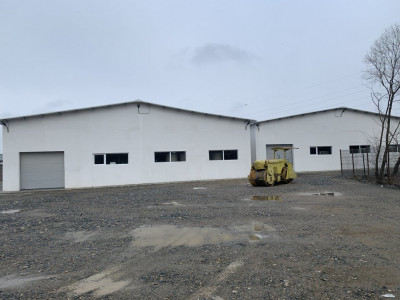 Spatii industriale de inchiriat Sibiu Selimbar imagine mica 3