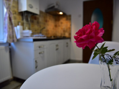Apartamente de vanzare Sibiu Orasul de Jos imagine mica 16