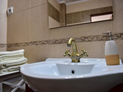Apartamente de vanzare Sibiu Orasul de Jos imagine mica 19