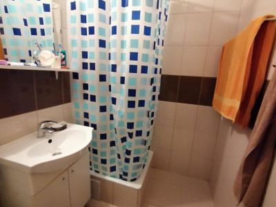 Apartamente de vanzare Sibiu Siretului imagine mica 7