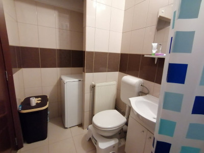 Apartamente de vanzare Sibiu Siretului imagine mica 8