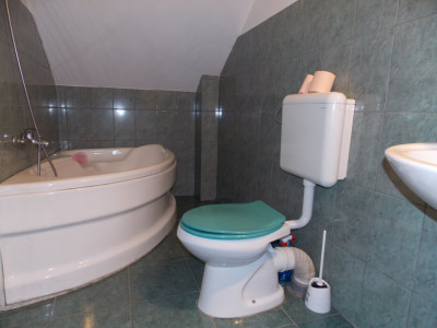 Apartamente de vanzare Sibiu Terezian imagine mica 8