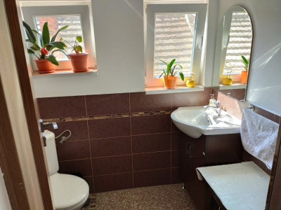 Apartamente de vanzare Sibiu Lupeni imagine mica 6
