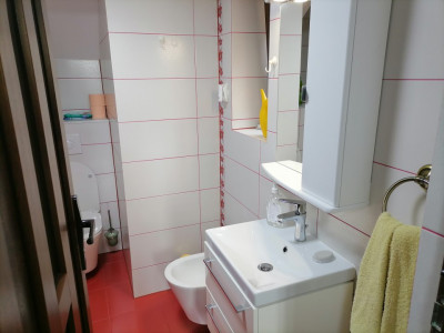 Case de vanzare Sibiu Lazaret imagine mica 21