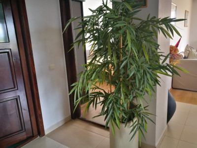 Apartamente de inchiriat Sibiu Calea Dumbravii imagine mica 18