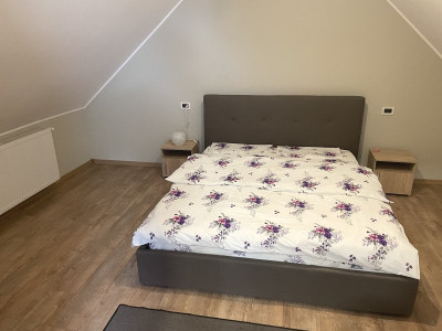 Case de vanzare Sibiu Piata Cluj imagine mica 7