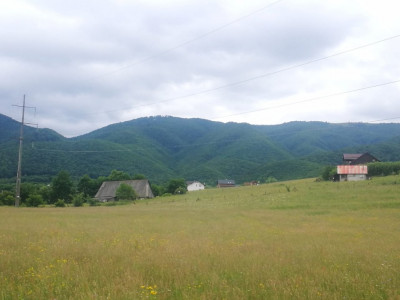 Terenuri de vanzare Tocile imagine mica 3