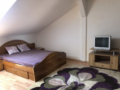 Apartamente de vanzare Sibiu Lazaret imagine mica 10