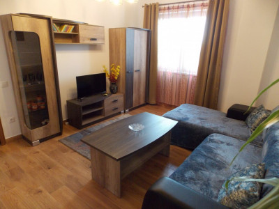 Apartamente de inchiriat Sibiu Doamna Stanca imagine mica 2
