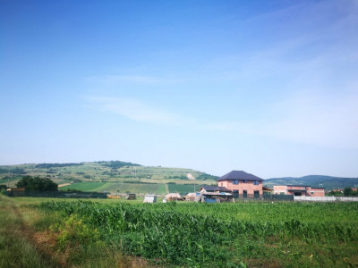 Terenuri de vanzare Sibiu Gusterita imagine mica 2