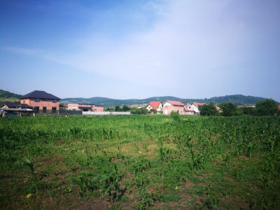Terenuri de vanzare Sibiu Gusterita imagine mica 3