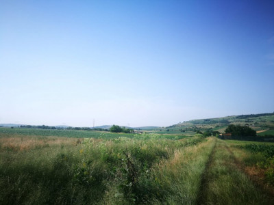Terenuri de vanzare Sibiu Gusterita imagine mica 5