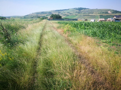 Terenuri de vanzare Sibiu Gusterita imagine mica 6