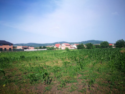 Terenuri de vanzare Sibiu Gusterita imagine mica 7