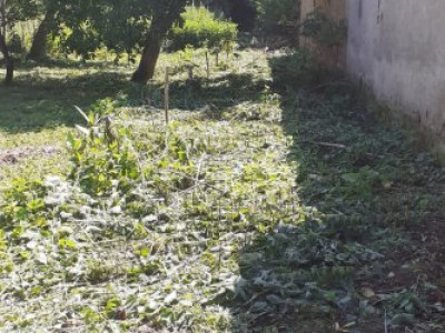 Terenuri de vanzare Voivodeni imagine mica 5