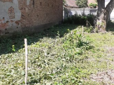 Terenuri de vanzare Voivodeni imagine mica 6