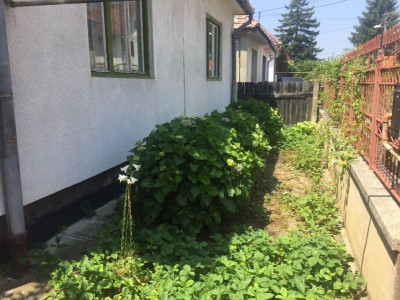Case de vanzare Sibiu Calea Dumbravii imagine mica 20