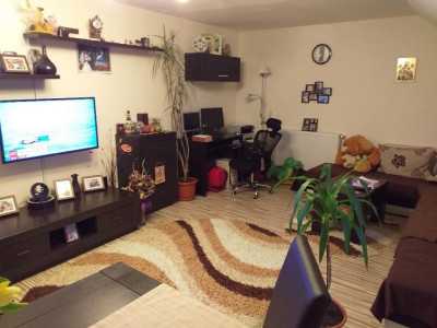 Apartamente de vanzare Sibiu Trei Stejari imagine mica 3
