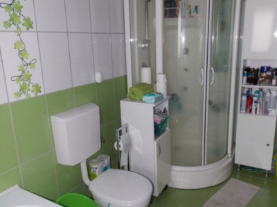 Apartamente de vanzare Sibiu Trei Stejari imagine mica 10