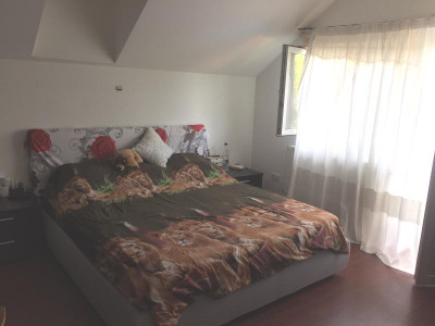 Case de vanzare Sura Mare imagine mica 5