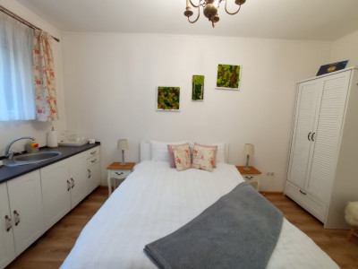 Apartamente de vanzare Sibiu Central imagine mica 4