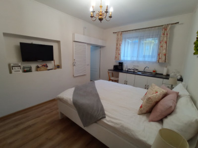 Apartamente de vanzare Sibiu Central imagine mica 6