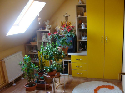 Apartamente de vanzare Sibiu Strand imagine mica 7
