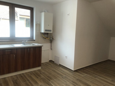 Apartamente de inchiriat Sibiu Tilisca imagine mica 3